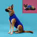 Recovery Vest for Pets KVP 45-53 cm Blue - Домашни Животни<<<Дом Градина<<<BigBuy&&&Здраве и хигиена<<<Домашни