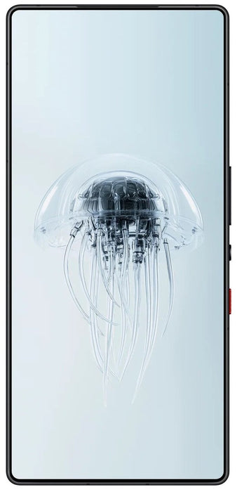 Smartphone REDMAGIC 10 Pro 5G 12/256GB Shadow