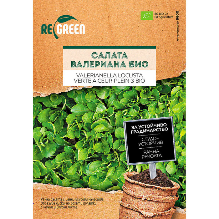 ORGANIC SALAD VALERIA SEEDS REGREEN