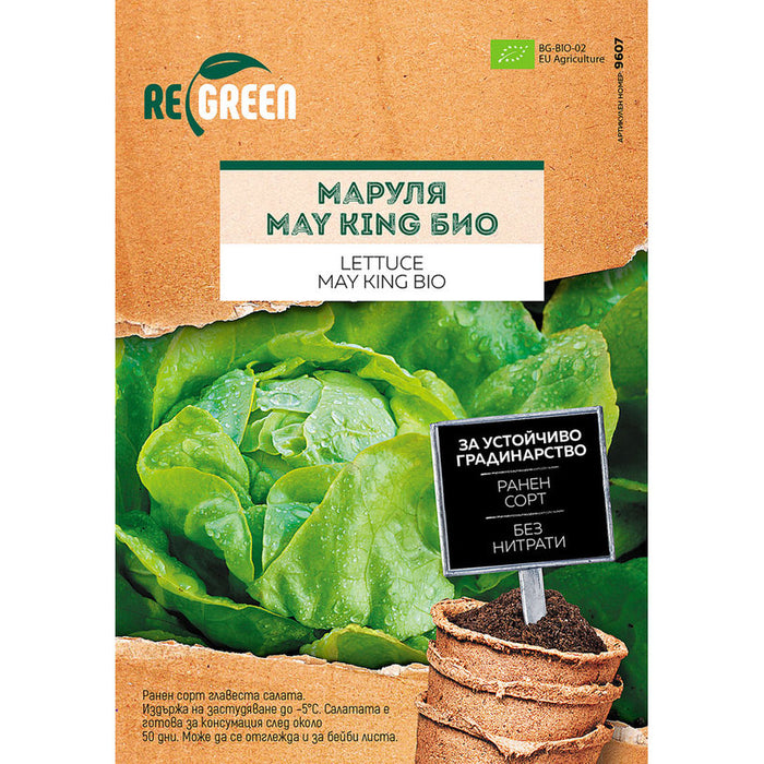 ORGANIC LETTUCE SEEDS MAY KING REGREEN