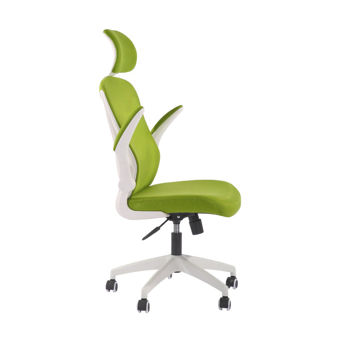 RFG Director's chair Jolly White HB, green