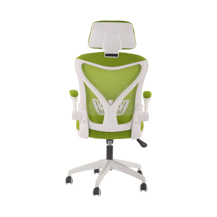 RFG Director's chair Jolly White HB, green