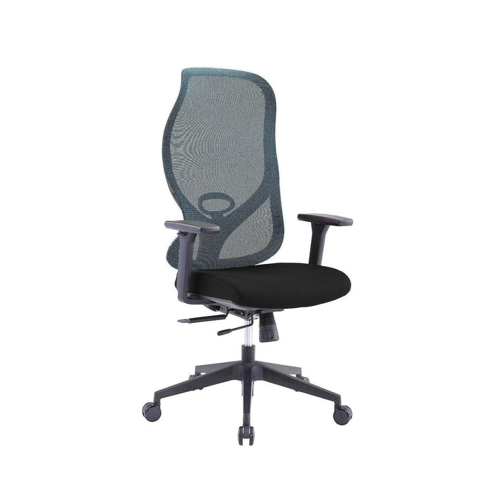 RFG Ergonomic chair STAR HB, black seat, blue backrest