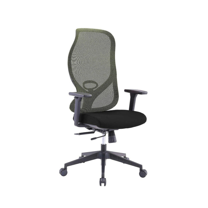 RFG Ergonomic chair STAR HB, black seat, green backrest