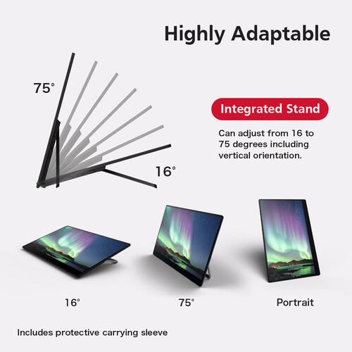 Portable touch monitor RICOH 150BW, OLED, 15.6", 715 g, USB-C, Li-Ion 3740mAh