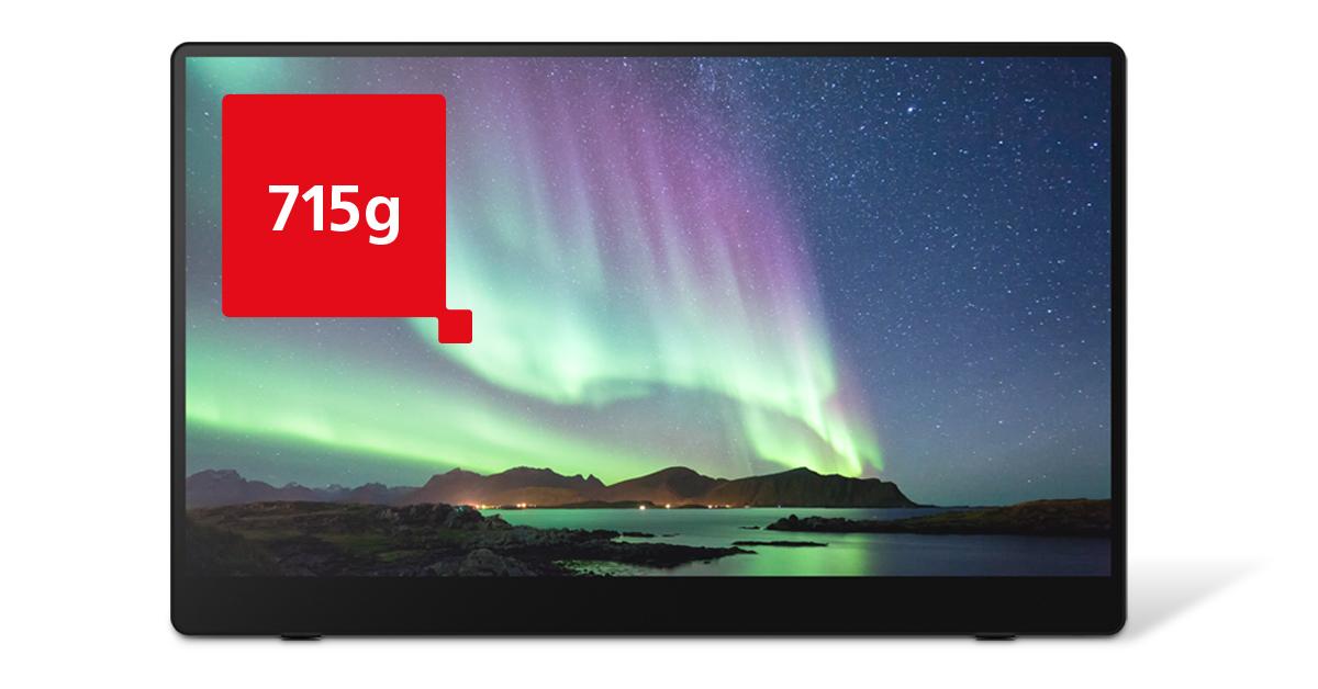 Portable touch monitor RICOH 150BW, OLED, 15.6", 715 g, USB-C, Li-Ion 3740mAh