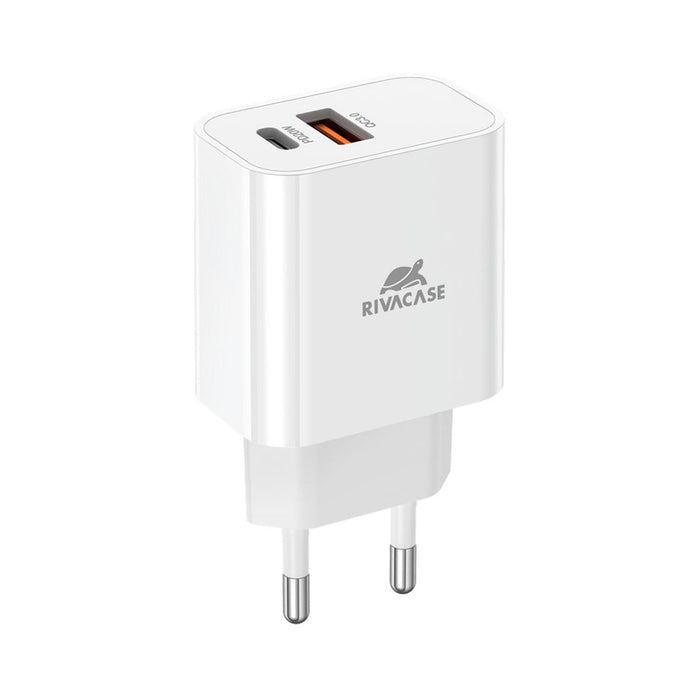 RIVA CASE 220V 20W USB+TYPE-C PS4102 W00