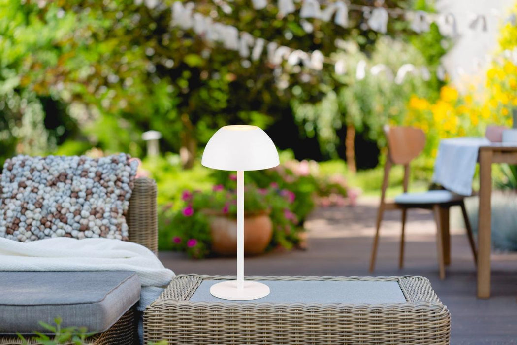 LED TABLE LAMP RICARDO SMD 1.7W WHITE