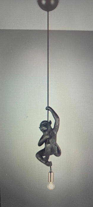 PENDANT FIPS 1XE14 BLACK RL