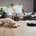 Robot vacuum cleaner PHILIPS XU2000/10 Series 2000 - Прахосмукачки робот<<<Прахосмукачки<<<Малки
