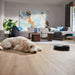Robot vacuum cleaner PHILIPS XU7100/01 - Последни бройки<<<Едра бяла техника<<<TechnoMix&&&Роботи