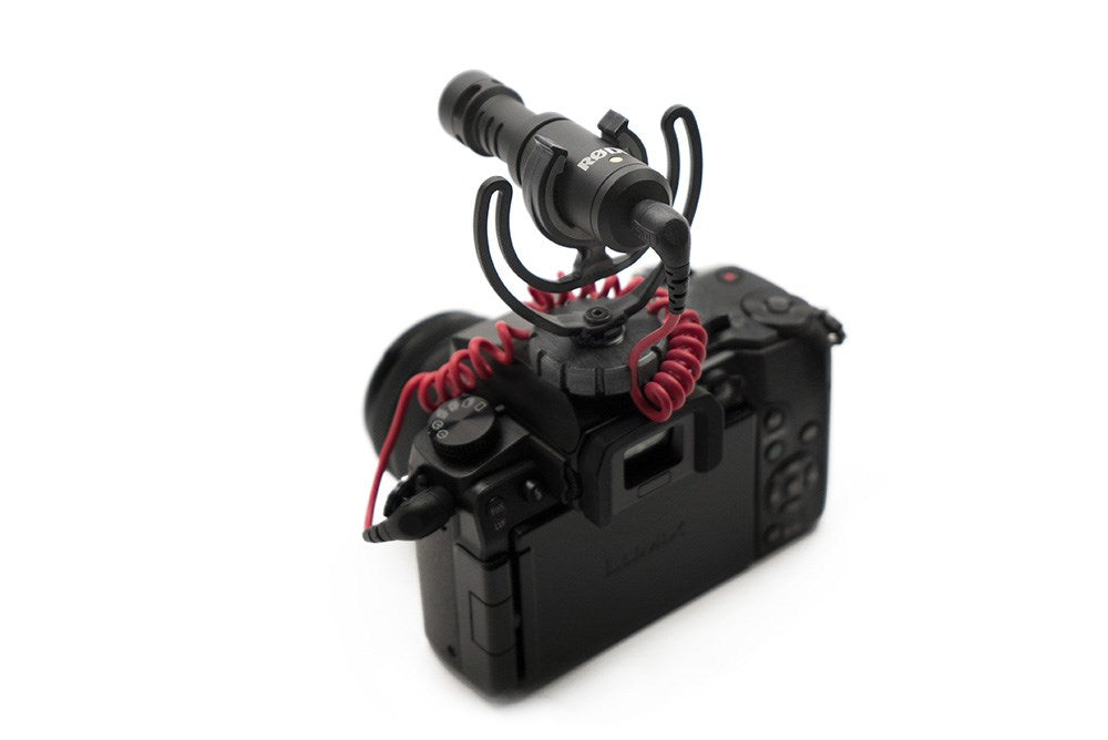 RØDE VideoMicro Black Digital camera microphone