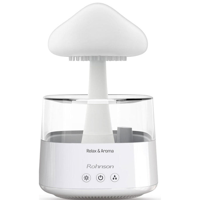 Humidifier Rohnson R-9519 Aroma diffuser, 450 ml