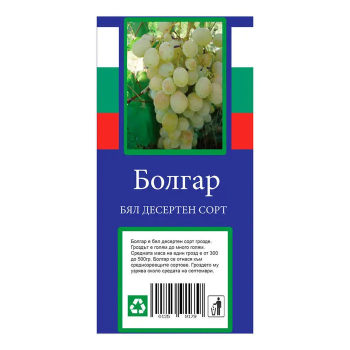 ROOT VINE DESSERT VARIETY - Корени<<<Външни растения<<<Градина<<<Praktiker