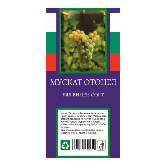 ROOT VINE WINE VARIETY - Корени<<<Външни растения<<<Градина<<<Praktiker