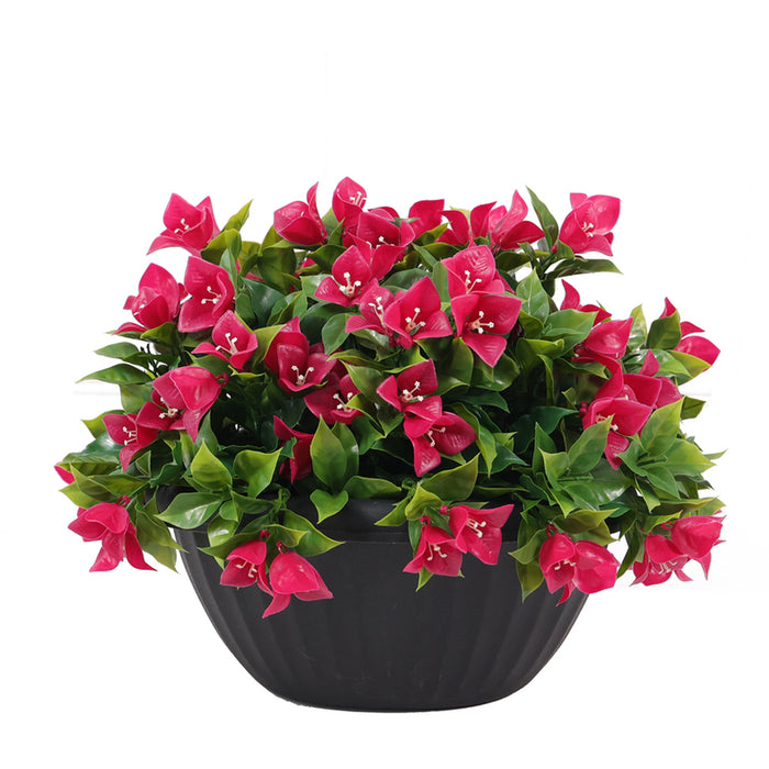 DECORATIVE LANDSCAPING HANGING BASKET ROSSIMA BOUGAINVILLE
