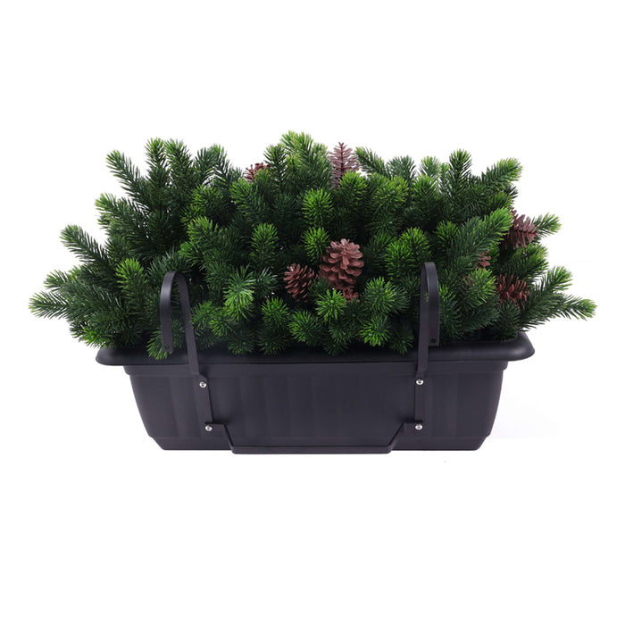 DECORATIVE PLANT IN A BOX ROSSIMA PINE CONE