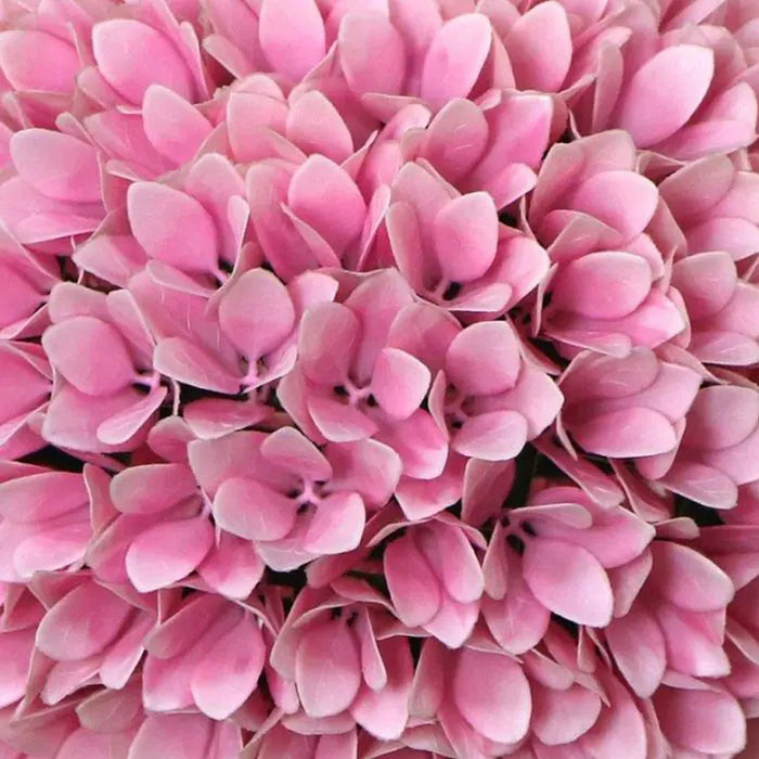 DECORATIVE BALL 27CM ROSSIMA PINK HYDRANGEA