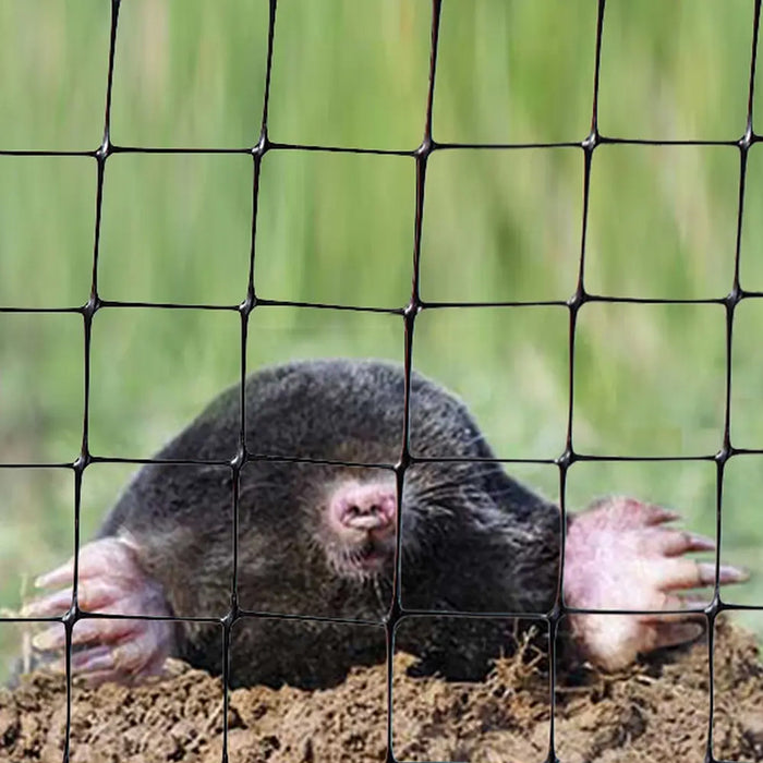 SAFETY NET P-V MOLE 30 ROSSIMA RO 85312