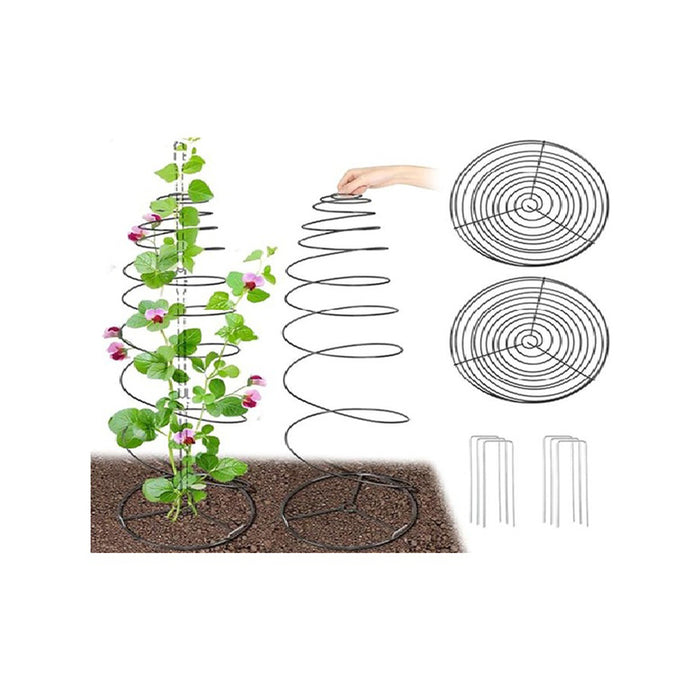 SPIRAL FLOWER STAND 1 ROSSIMA