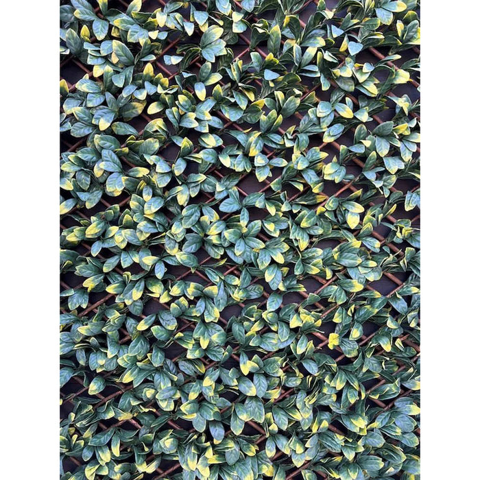 DECORATIVE PANEL ACCORDION 100X200CM ROSSIMA OLIVE LUXURY