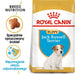 Royal Canin SHN Breed Jack Russell Junior - Dry dog food Poultry,Rice - 3 kg - Dry foodDLP-KAS<<<For