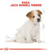 Royal Canin SHN Breed Jack Russell Junior - Dry dog food Poultry,Rice - 3 kg - Dry foodDLP-KAS<<<For