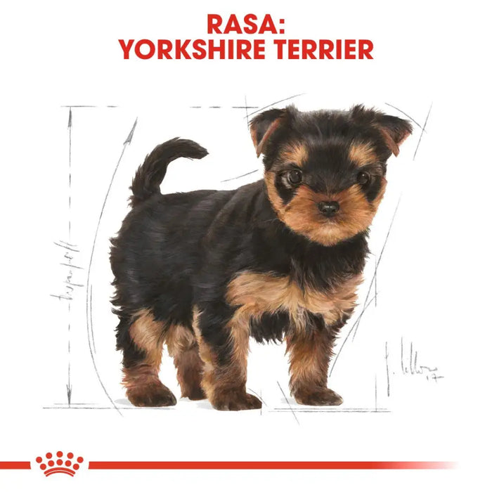 ROYAL CANIN Yorkshire Terrier Puppy - dry dog food - 7,5 kg - Dry foodDLP-KAS<<<For the dogDLP<<<ActionPL