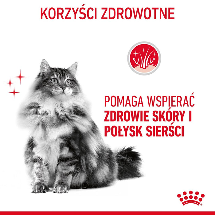 ROYAL CANIN Hair&Skin Care - dry cat food - 4kg
