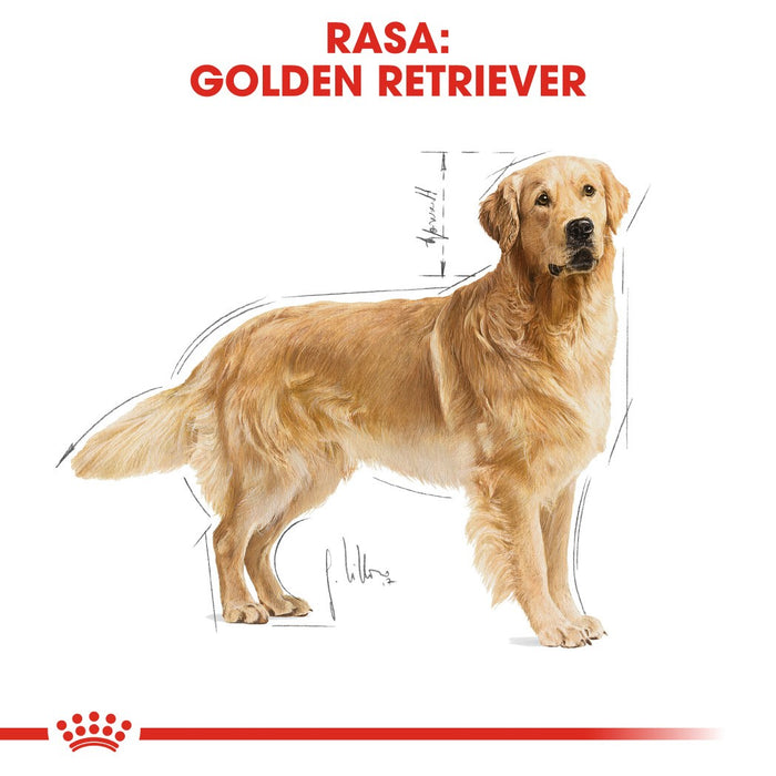 ROYAL CANIN BHN Golden Retriever dry dog food - 12kg