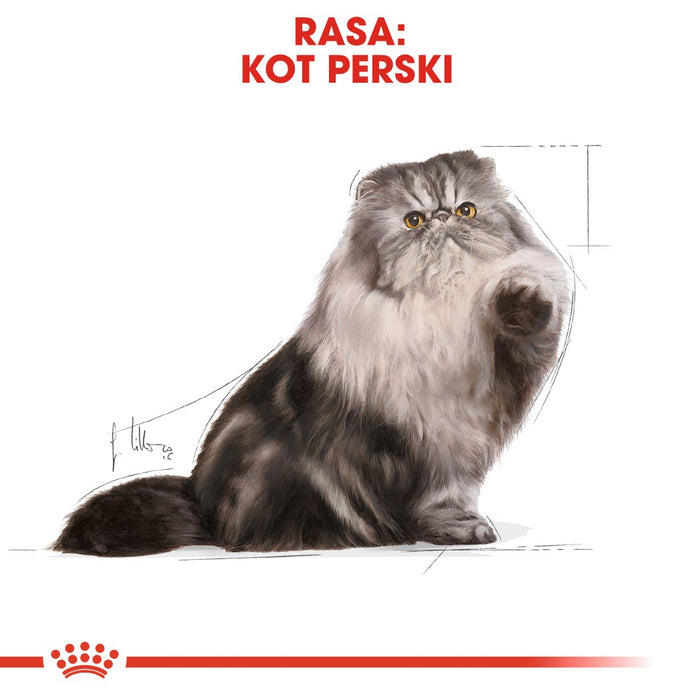 Royal Canin Persian cats dry food 4 kg Adult Maize, Poultry