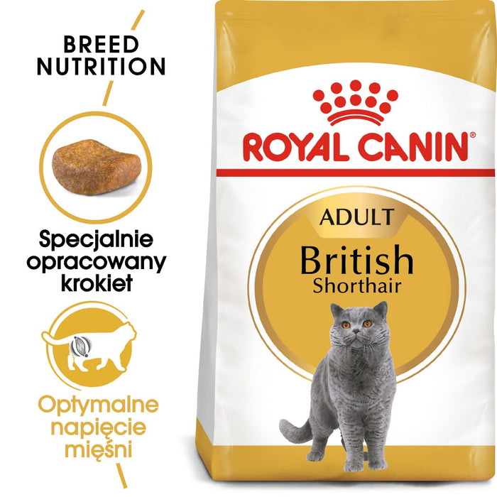 Royal Canin British Shorthair Adult cats dry food 4 kg