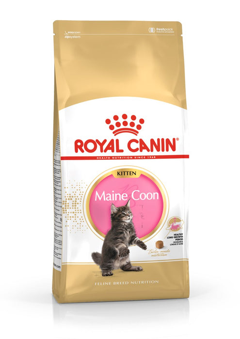 ROYAL CANIN Maine Coon Kitten- dry cat food - 4 kg
