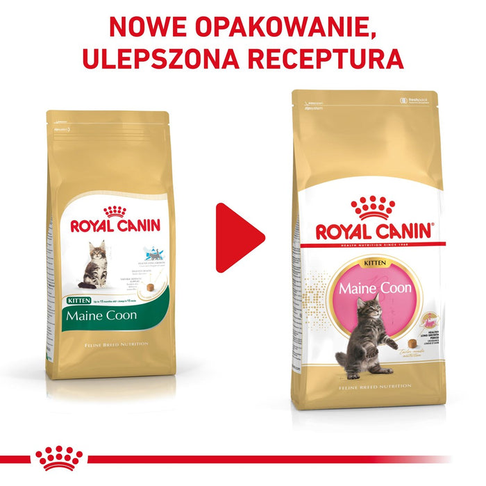 ROYAL CANIN Maine Coon Kitten- dry cat food - 4 kg