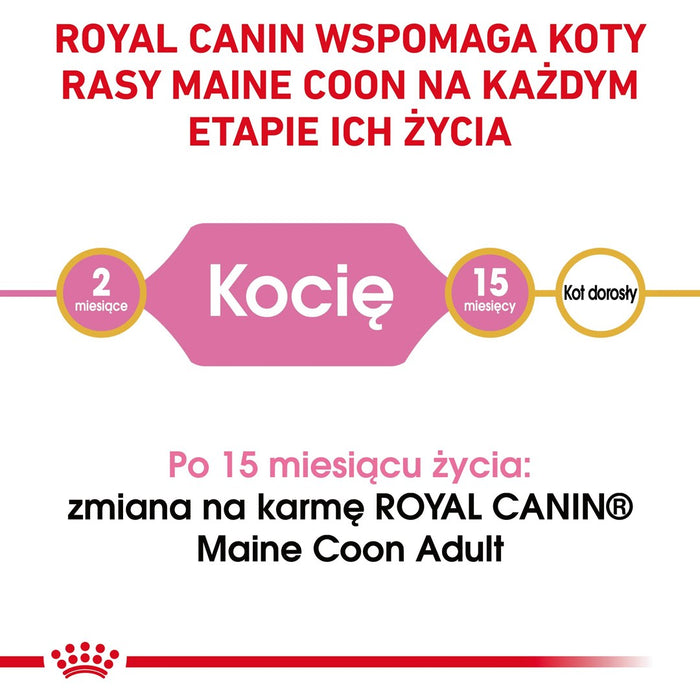 ROYAL CANIN Maine Coon Kitten- dry cat food - 4 kg