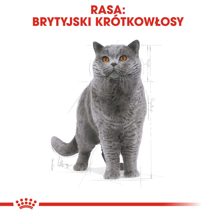 ROYAL CANIN British Shorthair - dry cat food - 2 kg