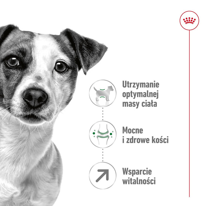 Royal Canin Mini Adult 8+ 8 kg Senior Poultry, Rice, Vegetable