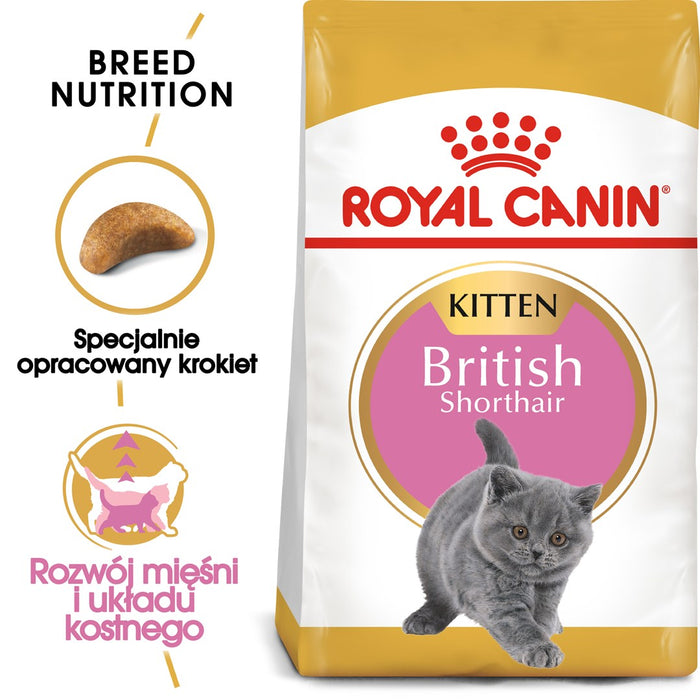 Royal Canin British Shorthair Kitten cats dry food 2 kg Poultry, Rice, Vegetable