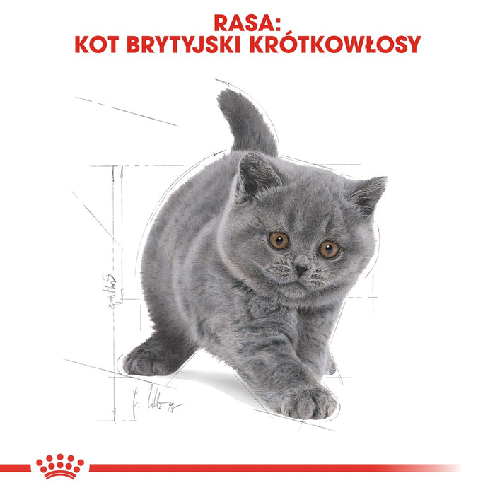 Royal Canin British Shorthair Kitten cats dry food 2 kg Poultry, Rice, Vegetable