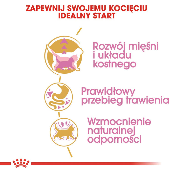Royal Canin British Shorthair Kitten cats dry food 2 kg Poultry, Rice, Vegetable