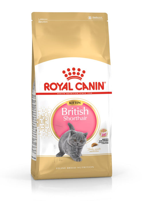 Royal Canin British Shorthair Kitten cats dry food 2 kg Poultry, Rice, Vegetable