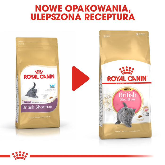 Royal Canin British Shorthair Kitten cats dry food 2 kg Poultry, Rice, Vegetable