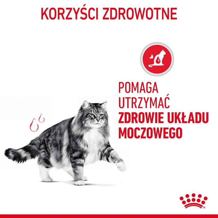 Royal Canin Urinary Care dry cat food 10 kg