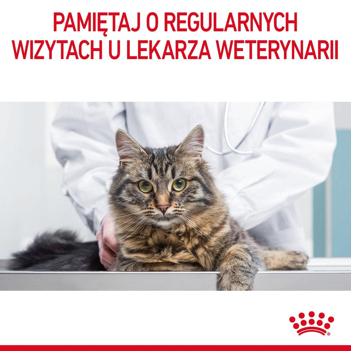 Royal Canin Urinary Care dry cat food 10 kg