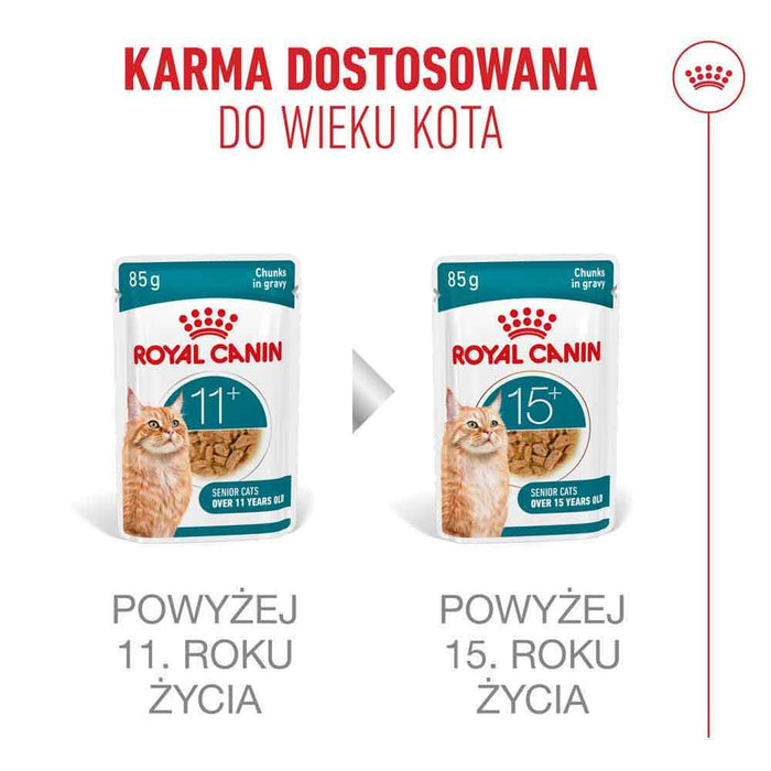 ROYAL CANIN Ageing 11+ Chunks in gravy - wet cat food - 12x85g