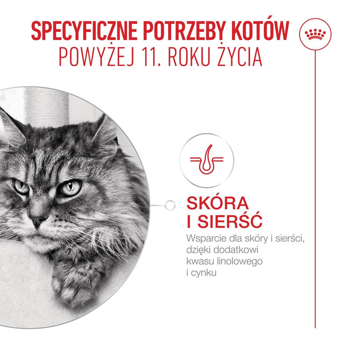 ROYAL CANIN Ageing 11+ - dry cat food - 2kg