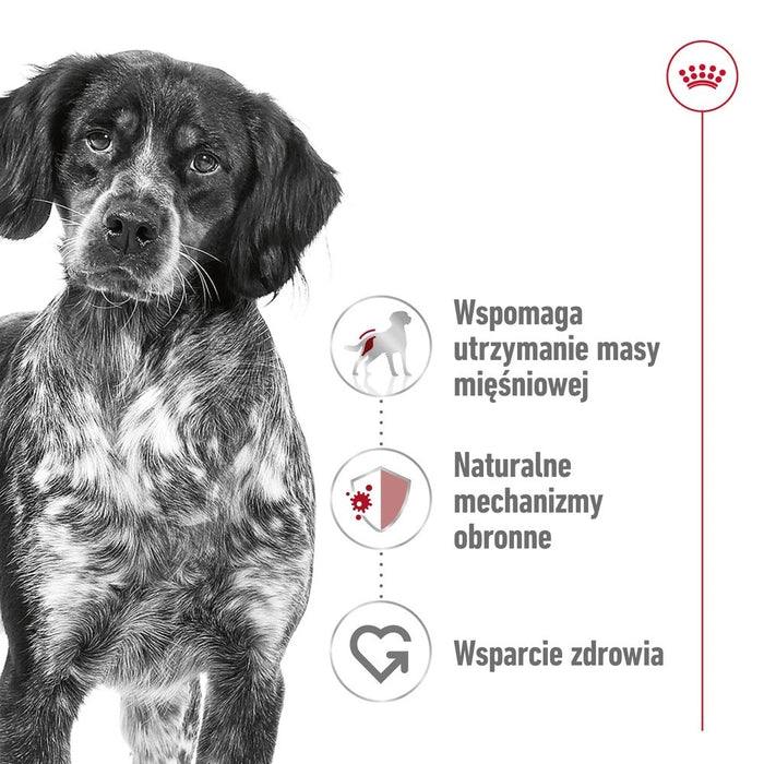 ROYAL CANIN Medium Loaf - wet dog food - 410g