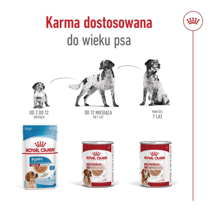 ROYAL CANIN Medium Ageing Loaf - wet dog food - 410g