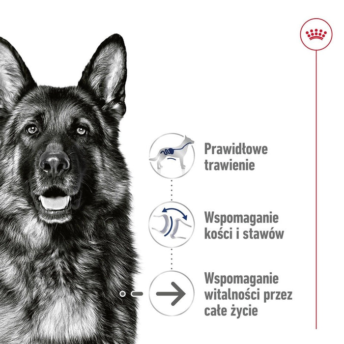 ROYAL CANIN Maxi Ageing Loaf - wet dog food - 410g
