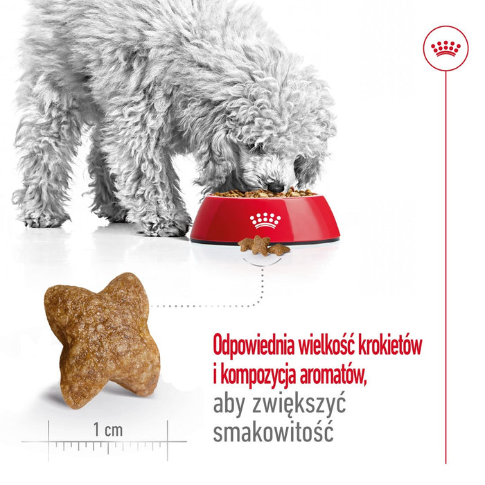 ROYAL CANIN Adult Mini S - dry dog food - 8kg